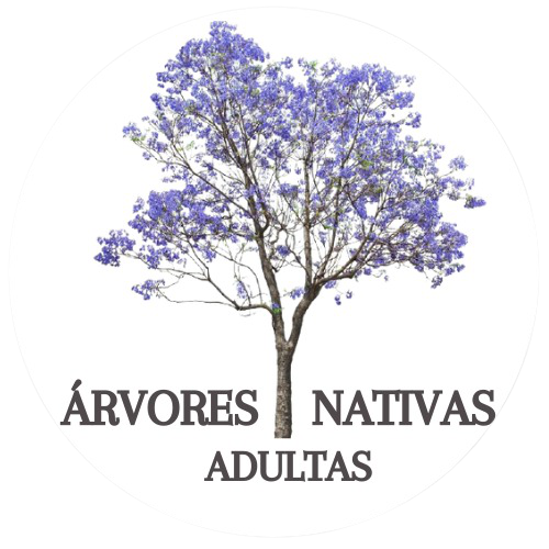 Árvores Nativas Adultas logo